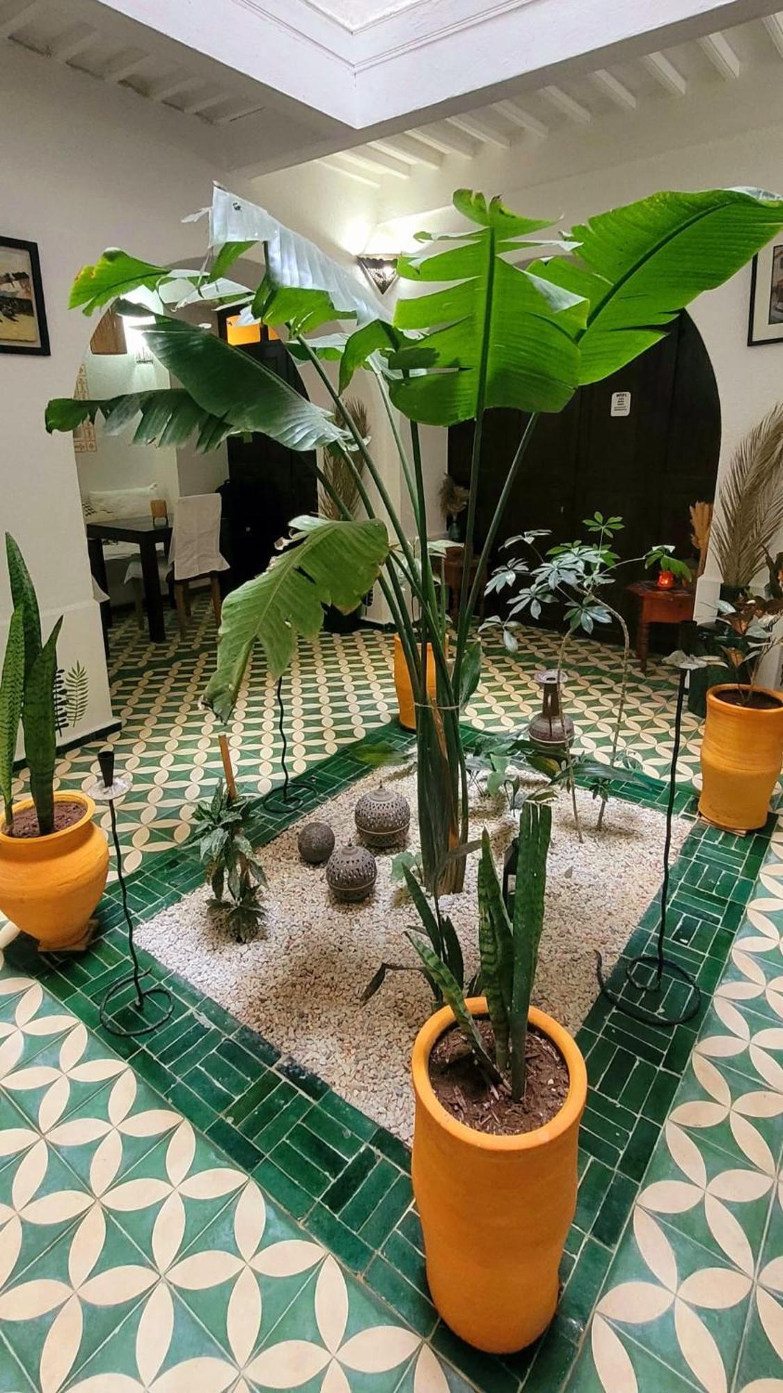 Riad Ocean Medina Essaouira Extérieur photo